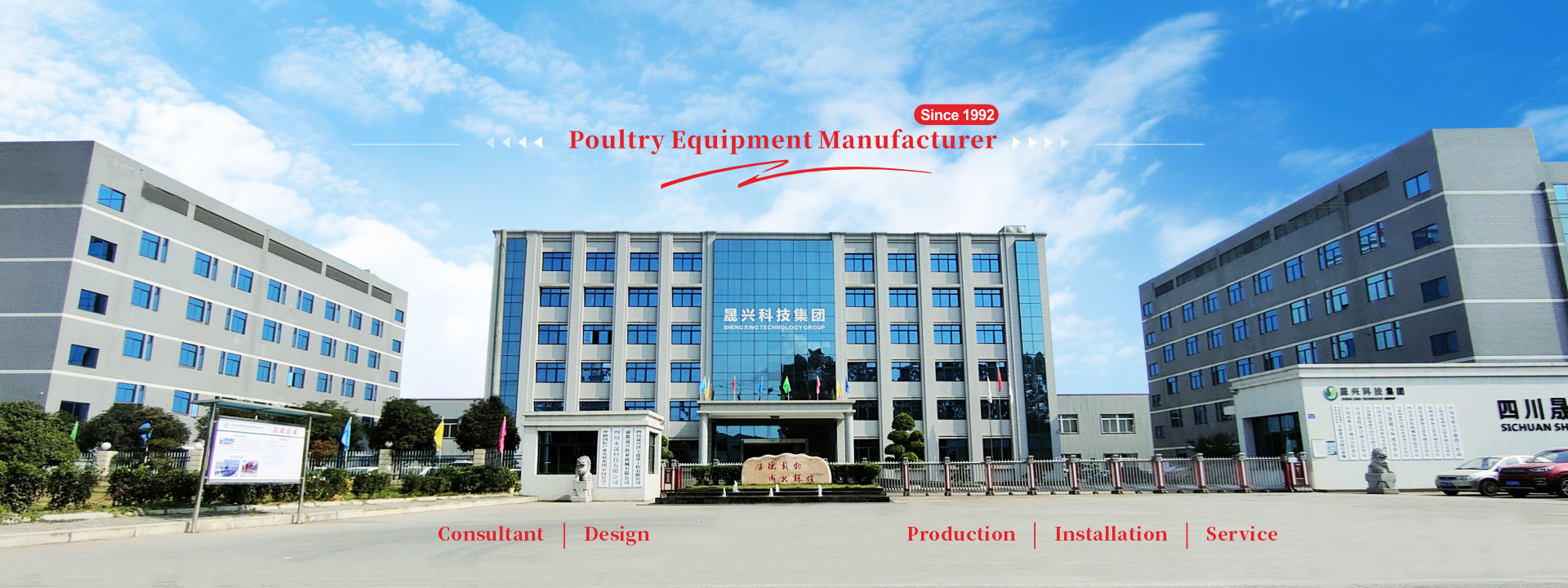 qualità Sistema di gabbie per pollame in batteria fabbrica