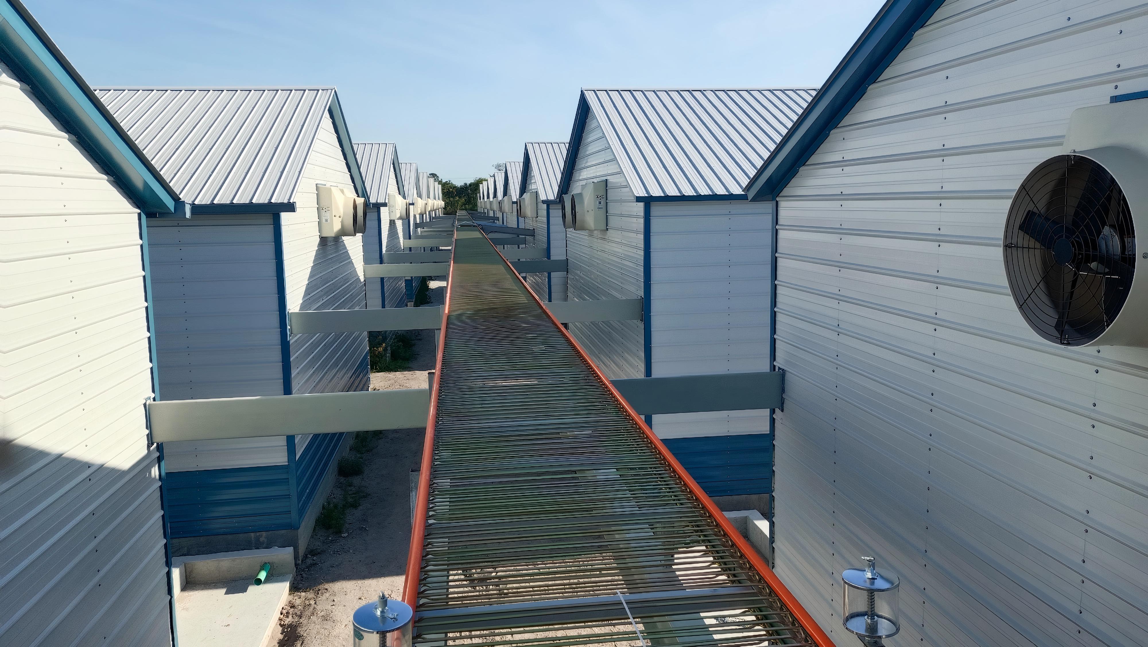 Progetto America senza gabbie da 400.000 strati