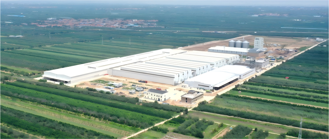 Progetto di 8 milioni di strati