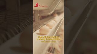 Farmrob | Raccolta uova stabile con tasso di rottura 0,2% #poultryfarm #chicken #factoryproducts