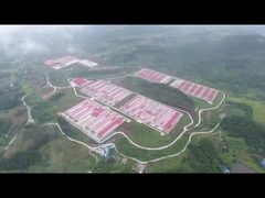 Sistema di gabbie per pollame in batteria