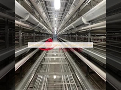 Sistema di gabbia di pollo a strati economico Q235 Acciaio