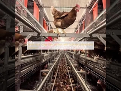 Sistema a più strati senza gabbia con piattaforma di movimento sufficiente