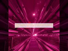 80000 Sistema di gabbia per polli a strato igienico per allevamenti pakistani