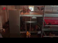 Single-tier Aviary System