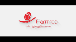 Gabbia della pollastra