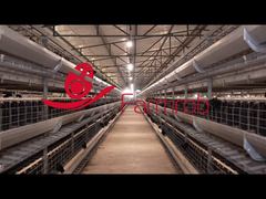 Farmrob | Gabbia da allevamento per l'inseminazione artificiale