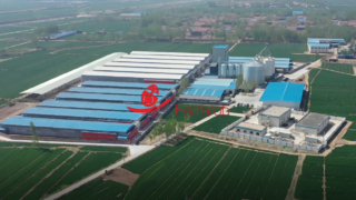 Farmrob | 3 milioni di allevamenti di ovaiole nello Shandong