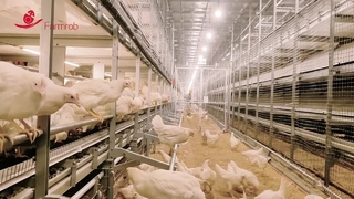 Sistema di welfare Farmrob